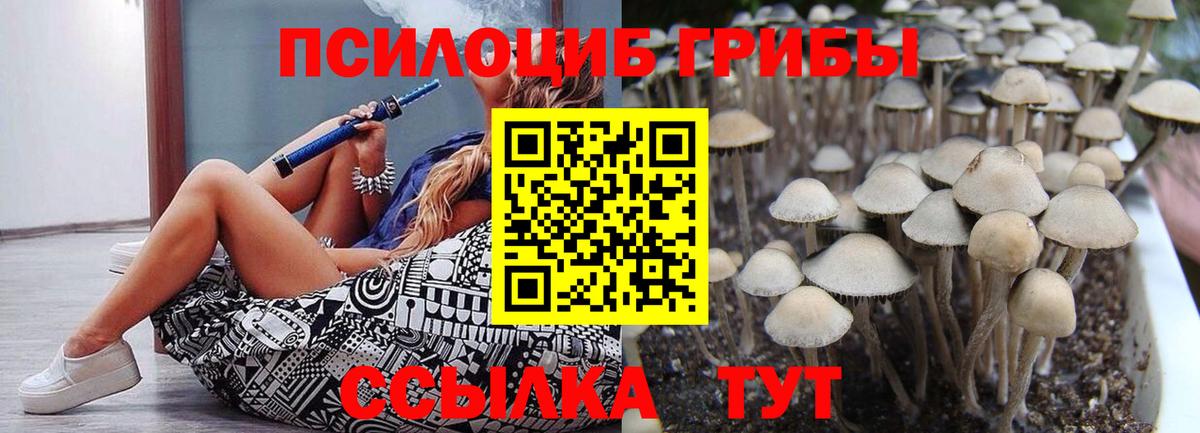 Псилоцибиновые грибы Cubensis Среднеуральск